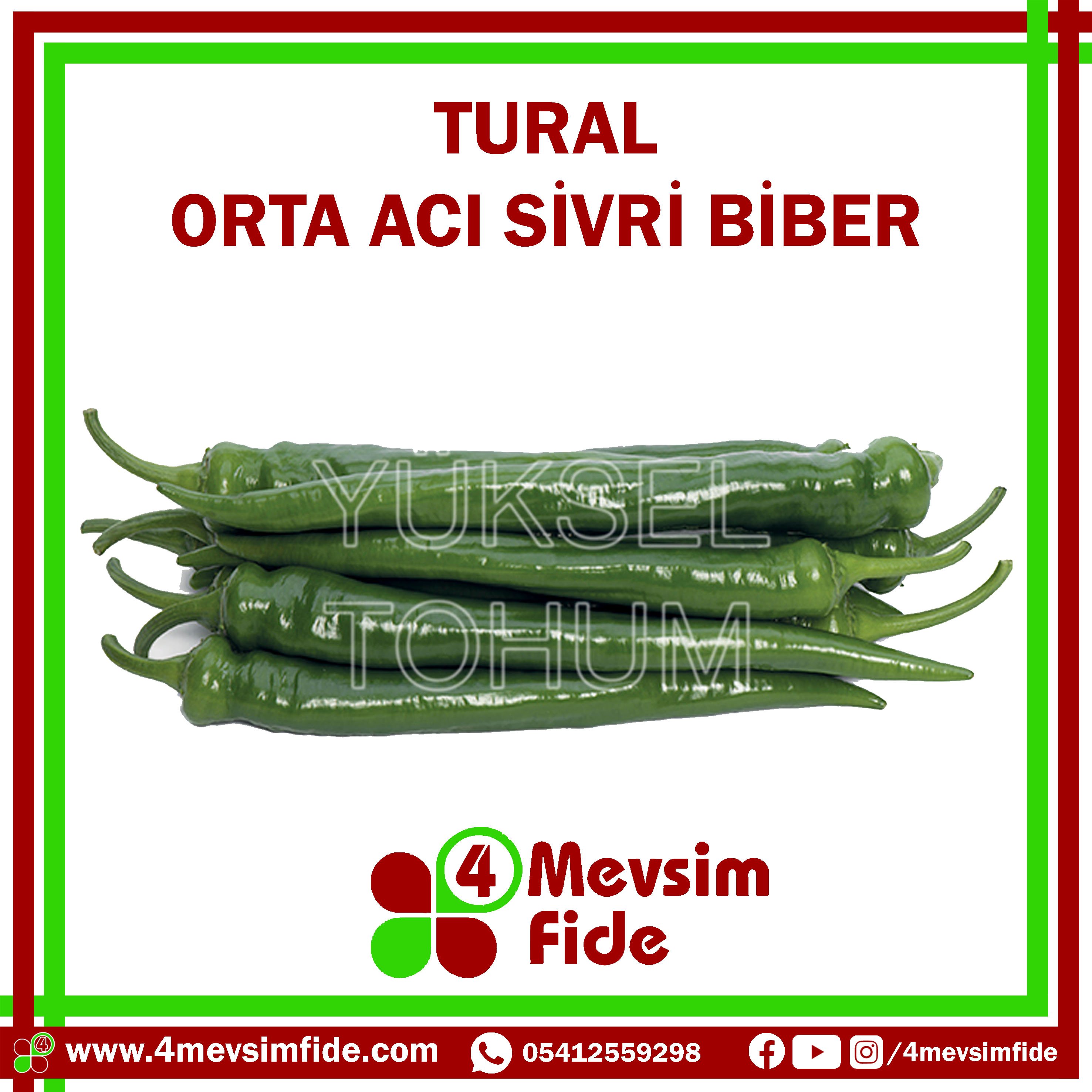 Tural Orta Acı Sivri Biber